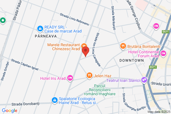 Microweb Vision Arad
