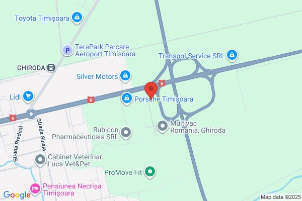 Todoruţ Internaţional