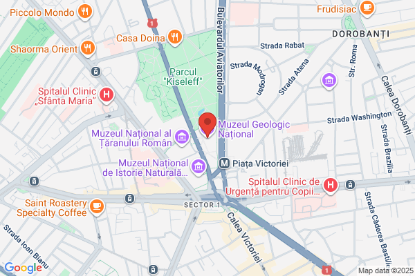 Muzeul Naţional De Geologie
